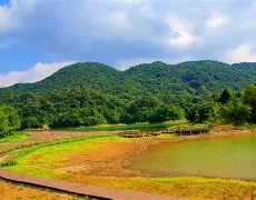 龙发威电影在线免费观看 龙发威电影在线免费观看