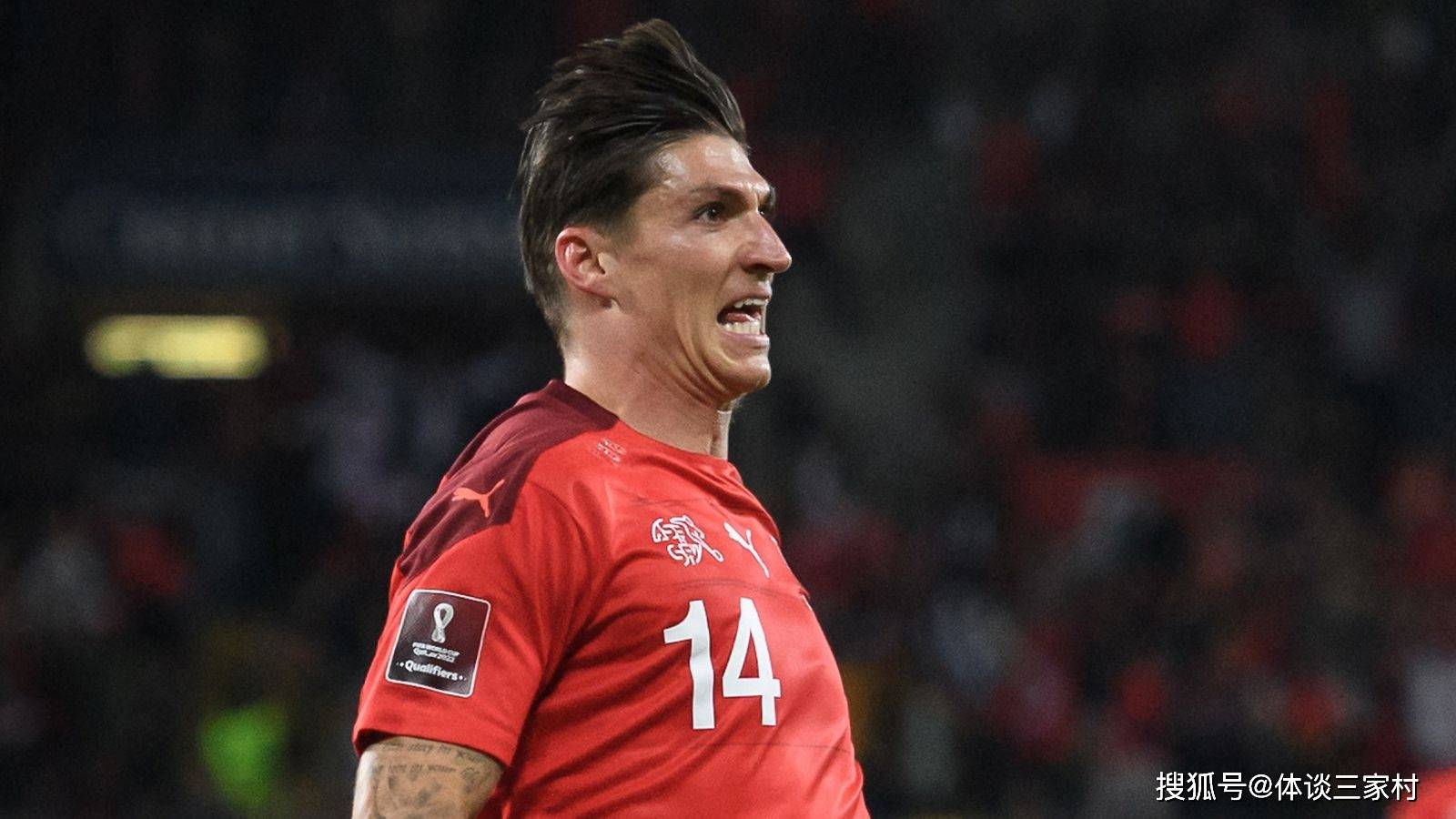 虎扑- 瑞士队队员 